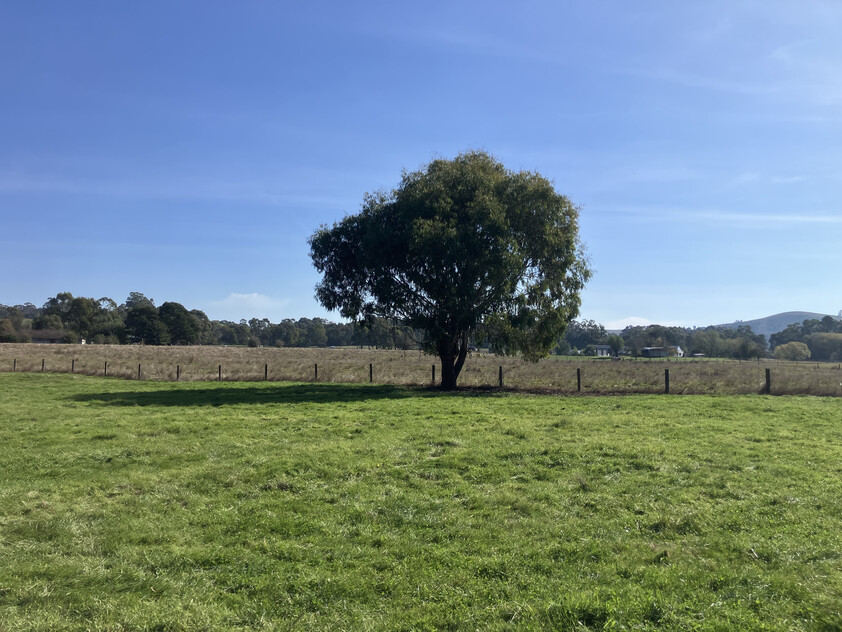 Prime Lifestyle Acreage with Creek Frontage & Quality Infrastructure