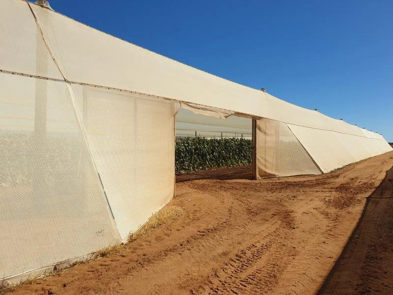 Turnkey Horticulture Operation | 58 Acres | Established Production, Infrastructure & Expansion Potential