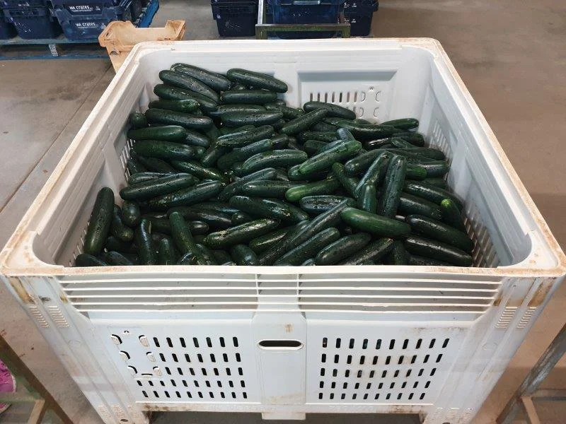 Turnkey Horticulture Operation | 58 Acres | Established Production, Infrastructure & Expansion Potential