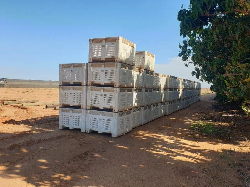 Turnkey Horticulture Operation | 58 Acres | Established Production, Infrastructure & Expansion Potential