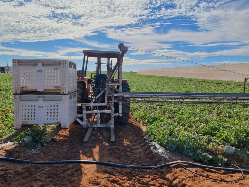 Turnkey Horticulture Operation | 58 Acres | Established Production, Infrastructure & Expansion Potential