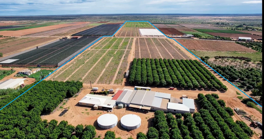 Turnkey Horticulture Operation | 58 Acres | Established Production, Infrastructure & Expansion Potential