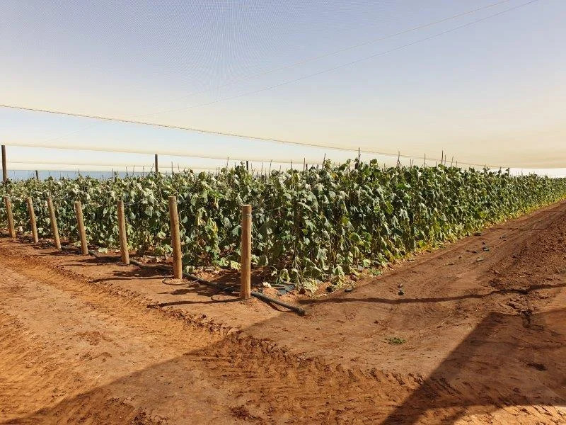 Horticulture Business & 58 Acre Asset | $1.5M+ Capability | Walk-In Walk-Out