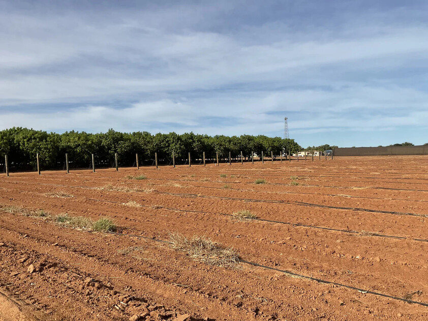 Horticulture Business & 58 Acre Asset | $1.5M+ Capability | Walk-In Walk-Out