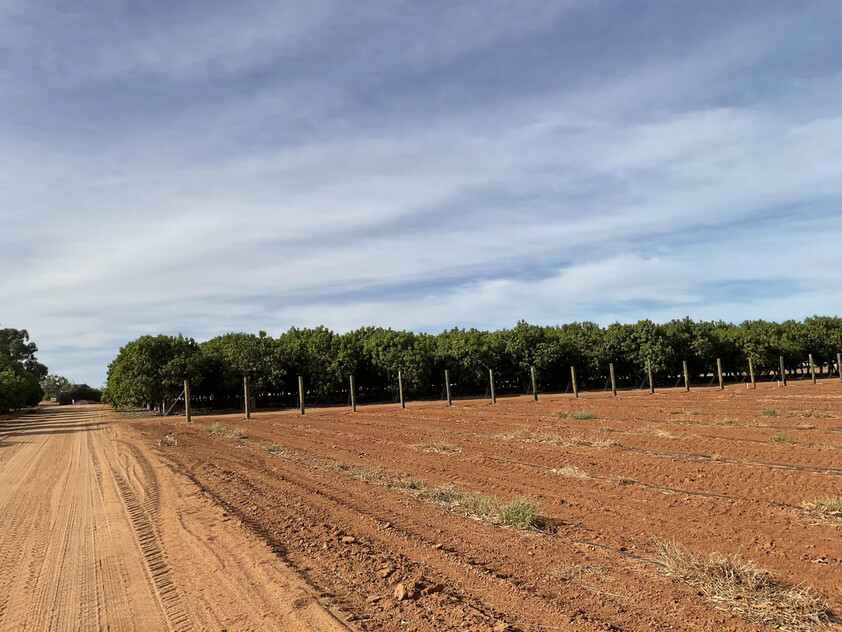 Horticulture Business & 58 Acre Asset | $1.5M+ Capability | Walk-In Walk-Out