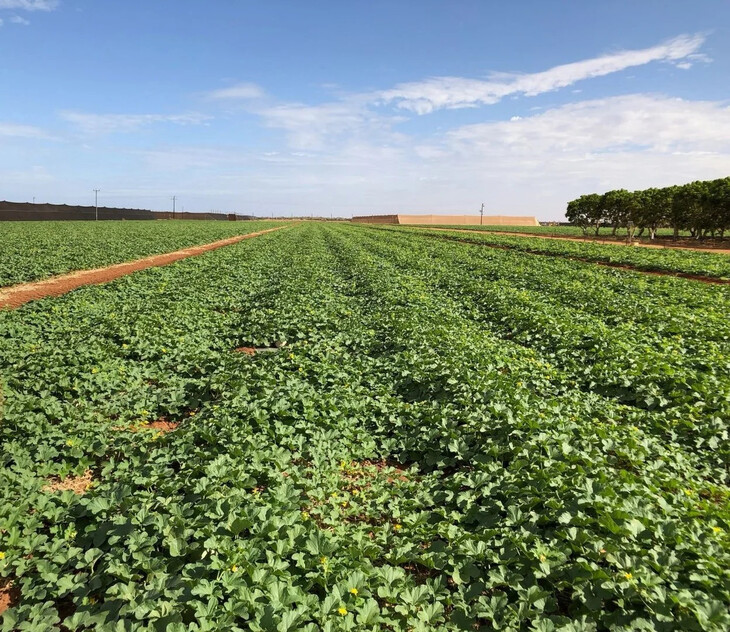 Horticulture Business & 58 Acre Asset | $1.5M+ Capability | Walk-In Walk-Out
