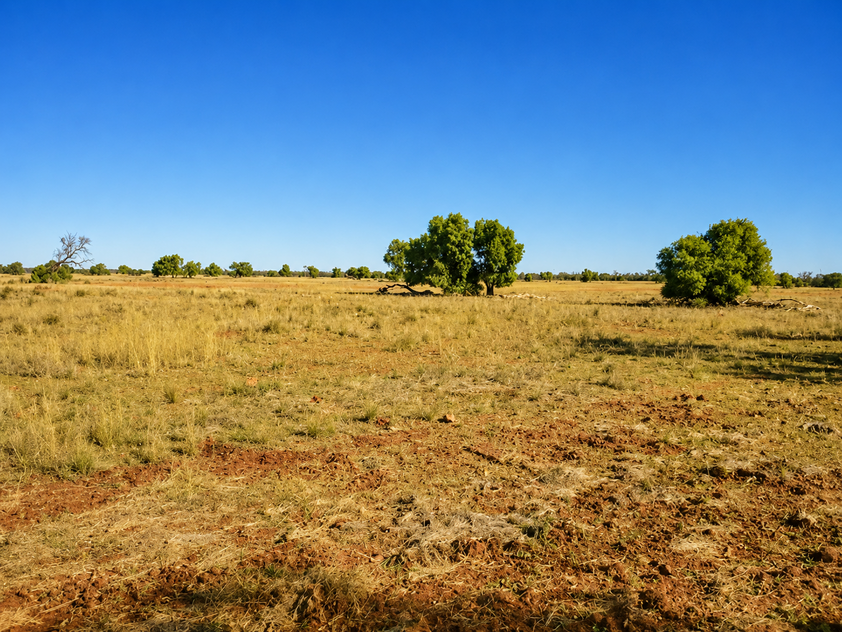 759 Acre Grazing & Mixed Farming Property with Strong Income Potential Nyngan District