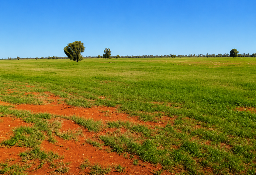 759 Acre Grazing & Mixed Farming Property with Strong Income Potential Nyngan District