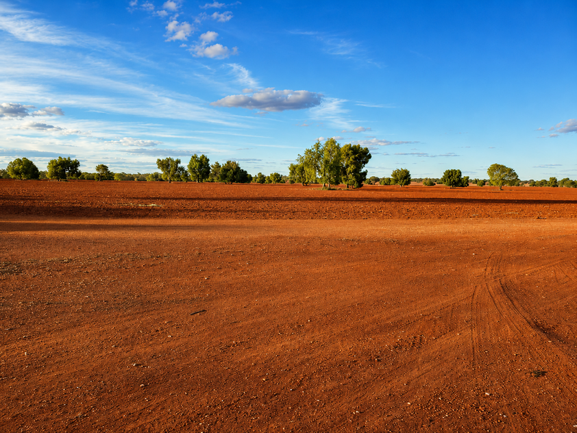 759 Acre Grazing & Mixed Farming Property with Strong Income Potential Nyngan District