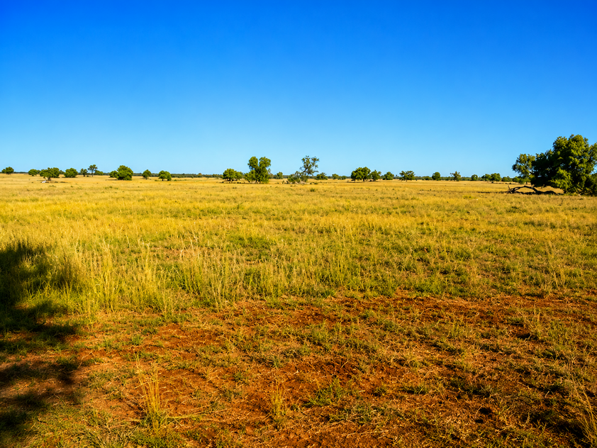 759 Acre Grazing & Mixed Farming Property with Strong Income Potential Nyngan District