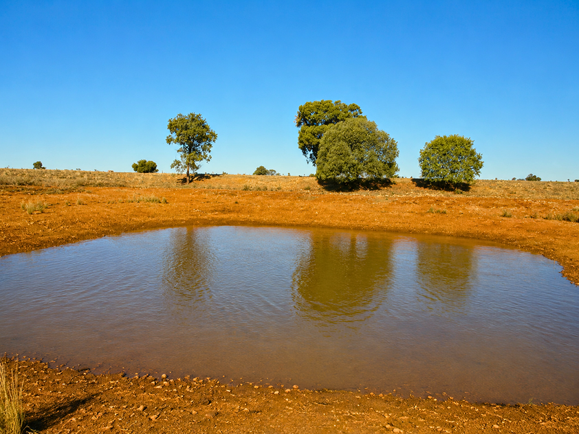 759 Acre Grazing & Mixed Farming Property with Strong Income Potential Nyngan District