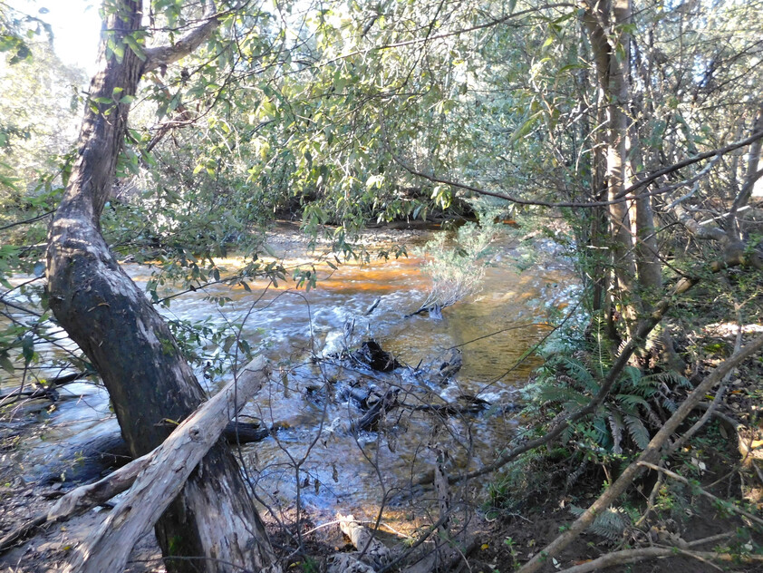 Rare Riverfront Acreage in Historic Mathinna 1.352ha