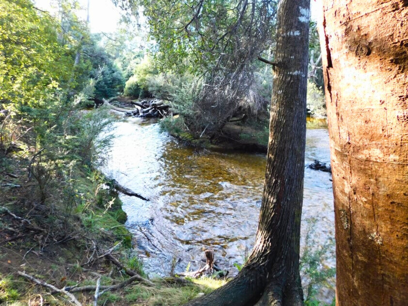 Rare Riverfront Acreage in Historic Mathinna 1.352ha