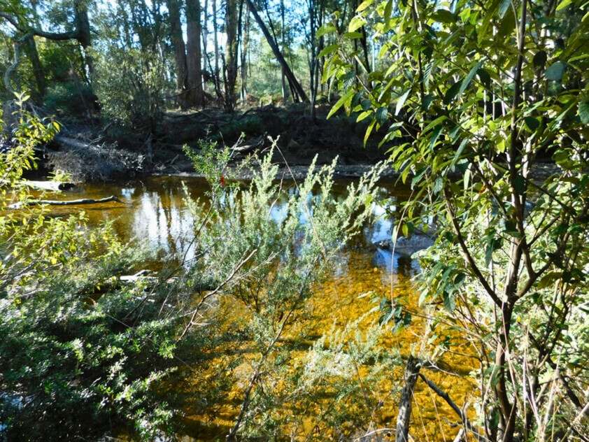 Rare Riverfront Acreage in Historic Mathinna 1.352ha