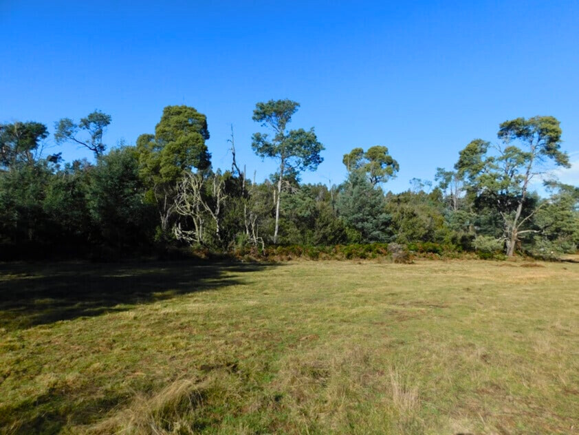 Rare Riverfront Acreage in Historic Mathinna 1.352ha