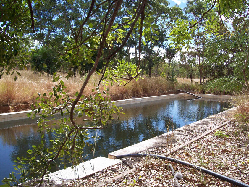 THE OLD FRANCES CREEK TOWN SHIP