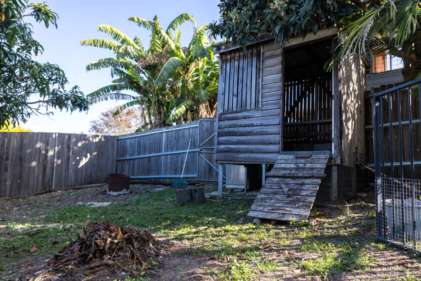 Beautifully Renovated Queenslander with Family Appeal