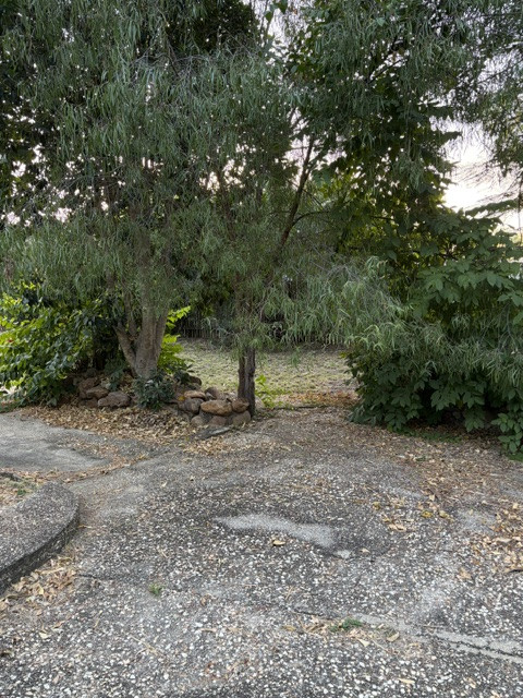 Private Family Retreat on Expansive 3053m² Block with Beautiful Bush Outlook