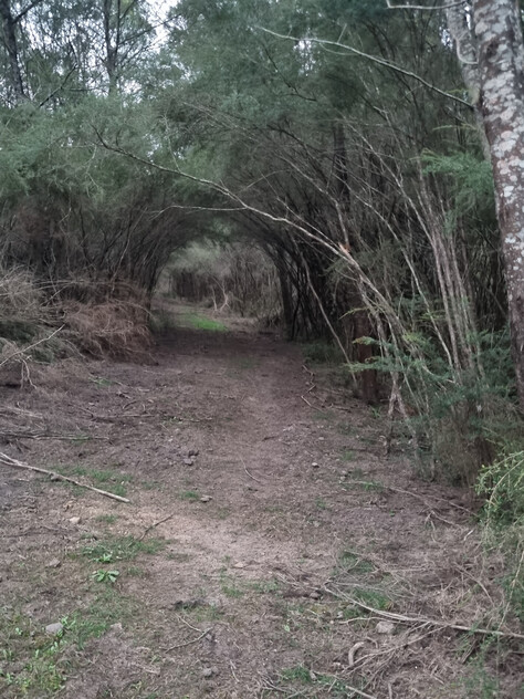 Rare & Unique Hidden Gem
