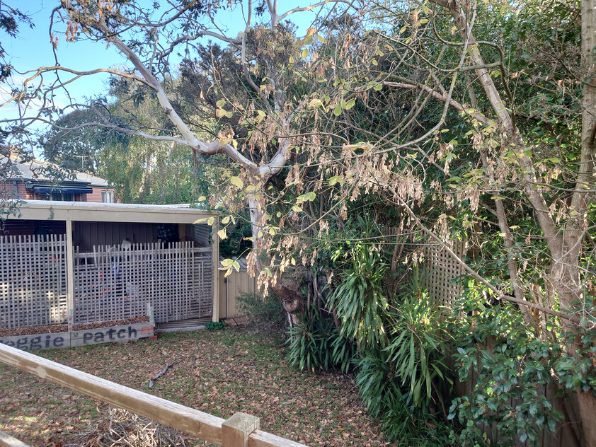 Spacious rennovated 3BR brick house