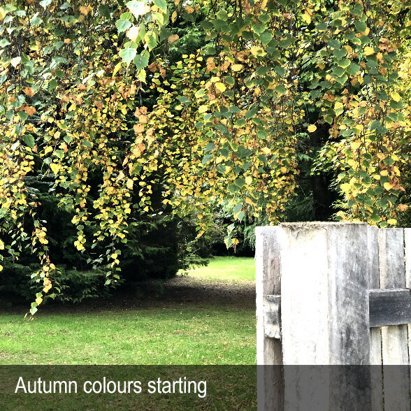 HERITAGE SEED BANK and OPEN GARDEN