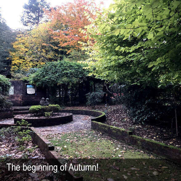 HERITAGE SEED BANK and OPEN GARDEN