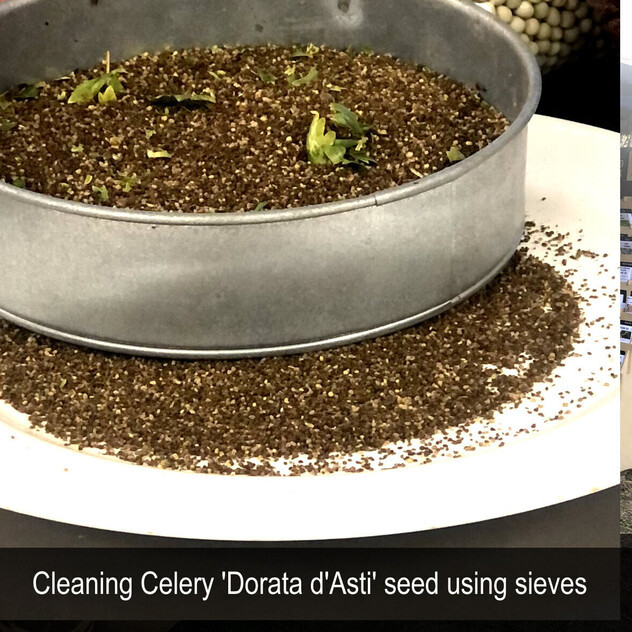 HERITAGE SEED BANK and OPEN GARDEN