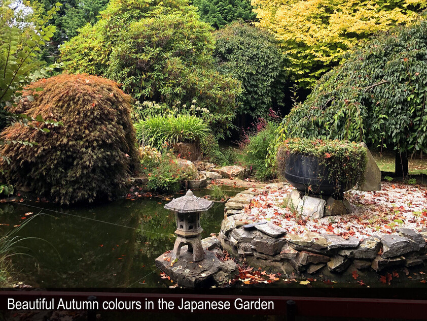HERITAGE SEED BANK and OPEN GARDEN