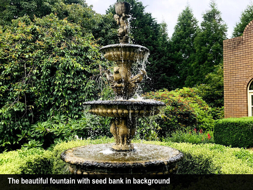 HERITAGE SEED BANK and OPEN GARDEN