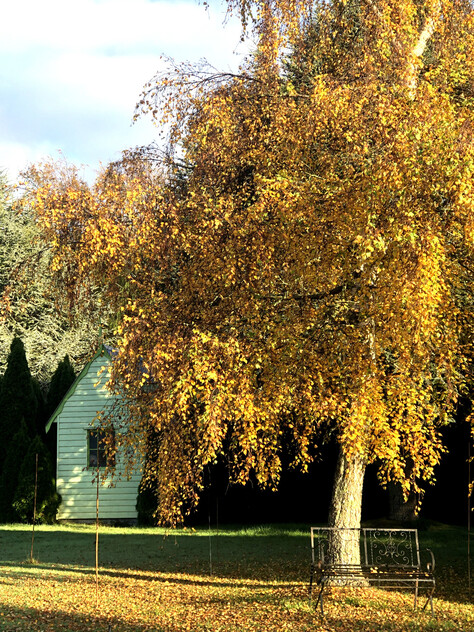 HERITAGE SEED BANK and OPEN GARDEN