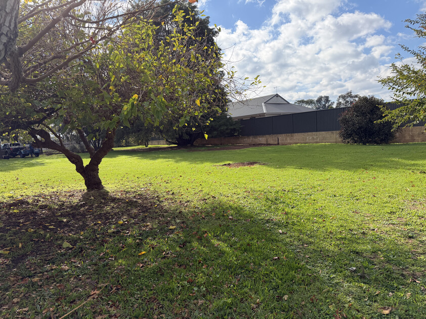 Rare 2,023m² Lifestyle Block with Shed Walk to Town & Endless Potential
