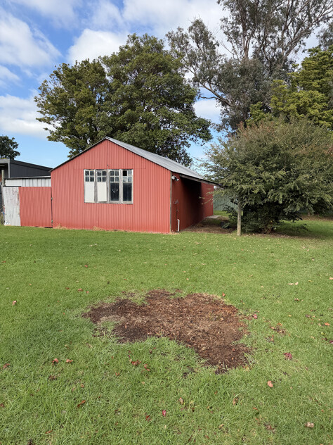 Rare 2,023m² Lifestyle Block with Shed Walk to Town & Endless Potential