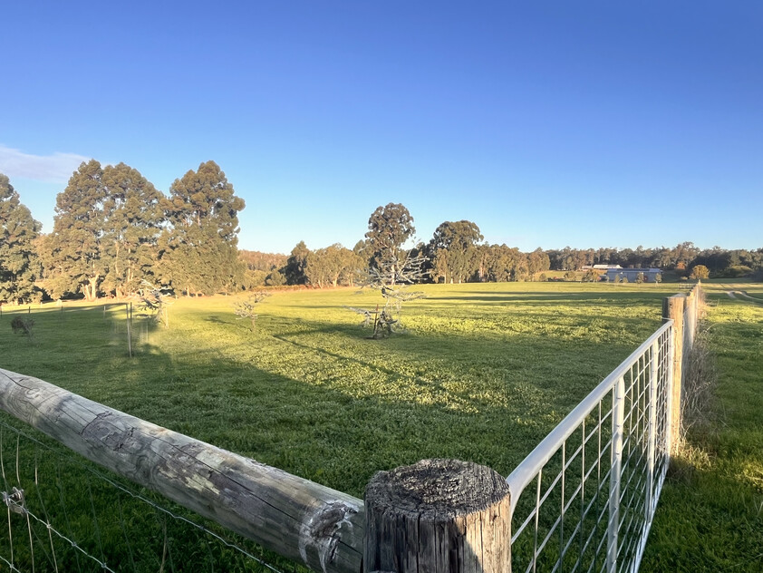 RARE 11 ACRES CLEARED LAND, OFF GRID SET UP IN DWELLINGUP 90 MINS FROM PERTH