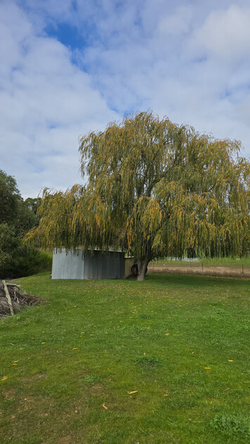 RARE 11 ACRES CLEARED LAND, OFF GRID SET UP IN DWELLINGUP 90 MINS FROM PERTH