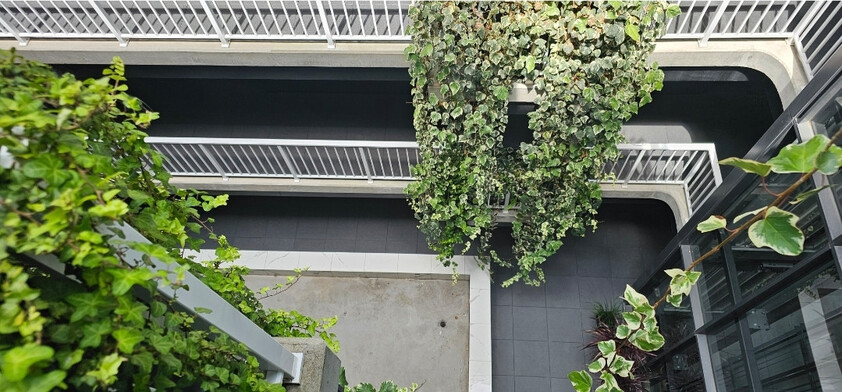 Fully furnished| Sub-Penthouse Living in the Heart of Braddon and City | Views to Black Mountain