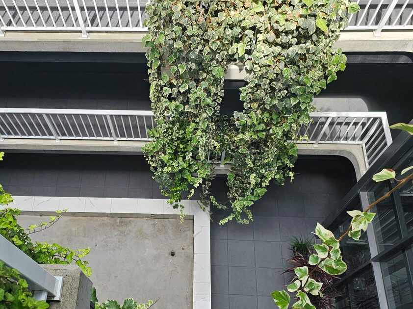 Fully furnished| Sub-Penthouse Living in the Heart of Braddon and City | Views to Black Mountain