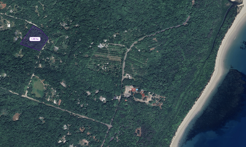 Rare Elevated 1.48ha Rainforest Acreage Privacy, Access & Location