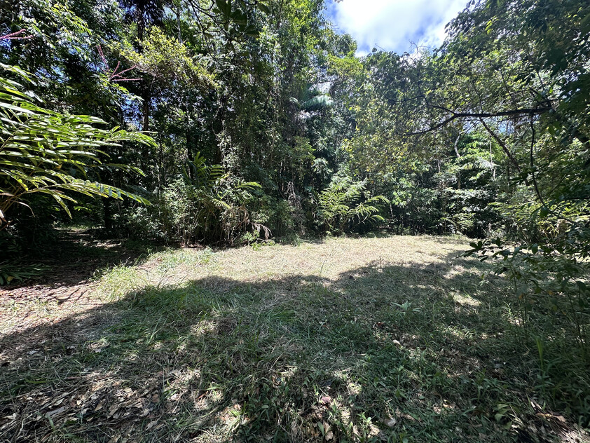 Rare Elevated 1.48ha Rainforest Acreage Privacy, Access & Location