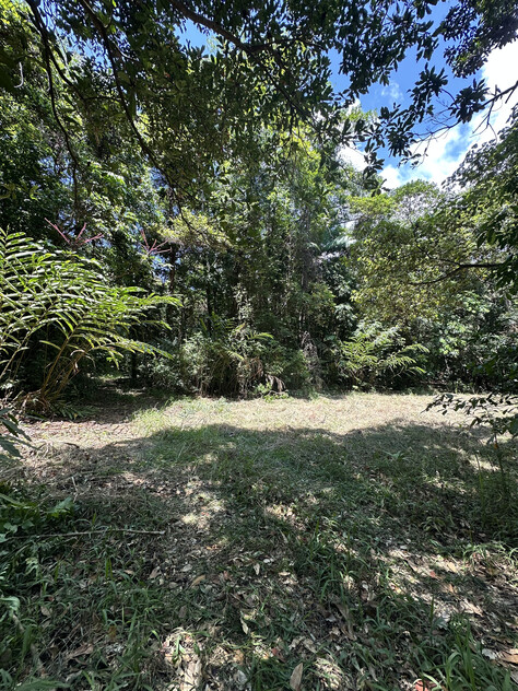 Rare Elevated 1.48ha Rainforest Acreage Privacy, Access & Location
