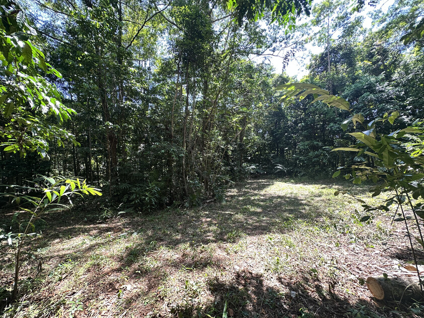 Rare Elevated 1.48ha Rainforest Acreage Privacy, Access & Location
