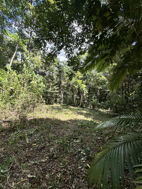 Rare Elevated 1.48ha Rainforest Acreage Privacy, Access & Location