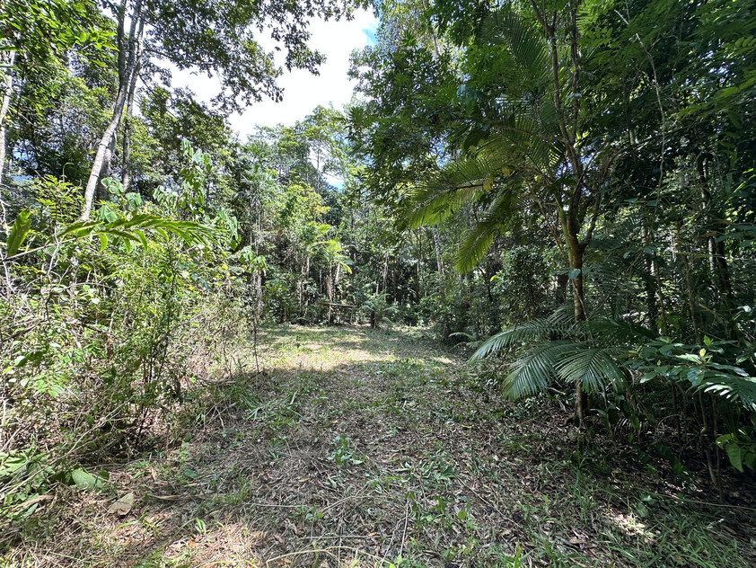 Rare Elevated 1.48ha Rainforest Acreage Privacy, Access & Location