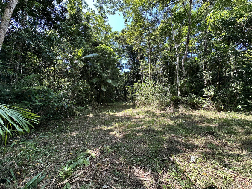 Rare Elevated 1.48ha Rainforest Acreage Privacy, Access & Location