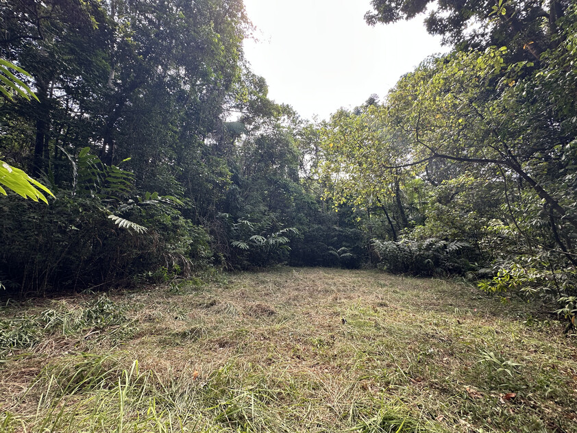 Rare Elevated 1.48ha Rainforest Acreage Privacy, Access & Location