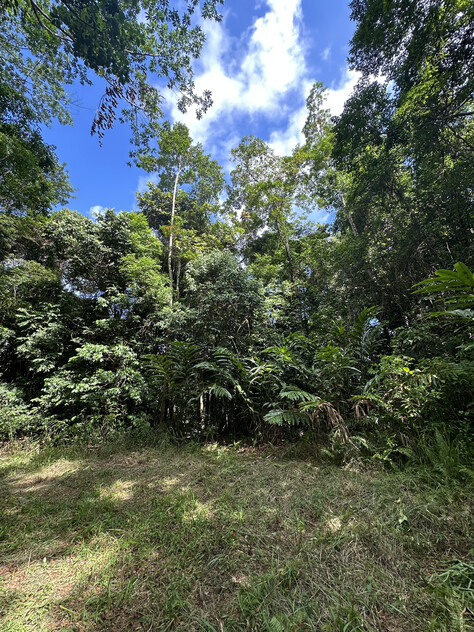 Rare Elevated 1.48ha Rainforest Acreage Privacy, Access & Location