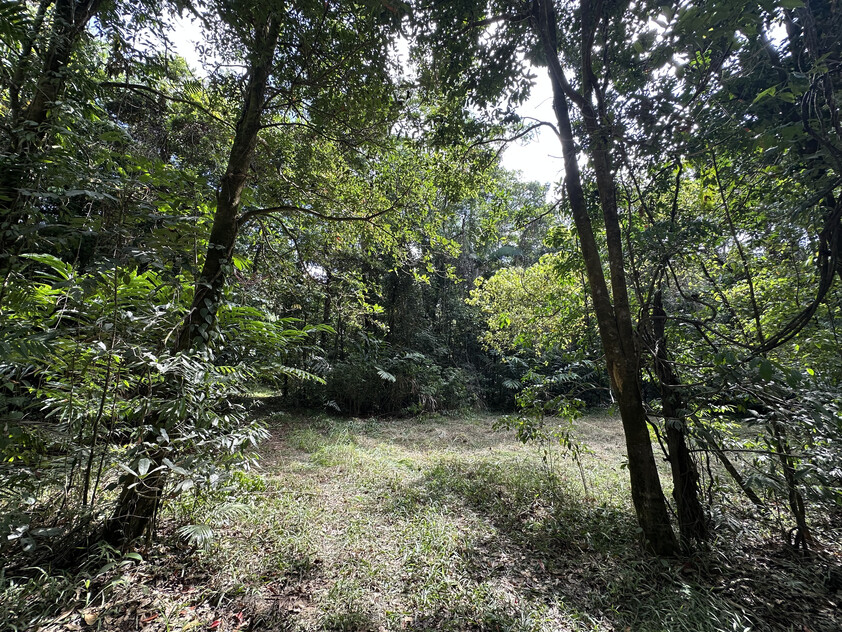 Rare Elevated 1.48ha Rainforest Acreage Privacy, Access & Location