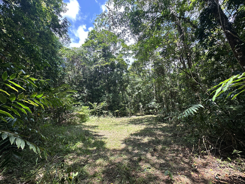 Rare Elevated 1.48ha Rainforest Acreage Privacy, Access & Location