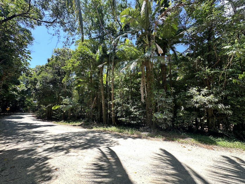 Rare Elevated 1.48ha Rainforest Acreage Privacy, Access & Location