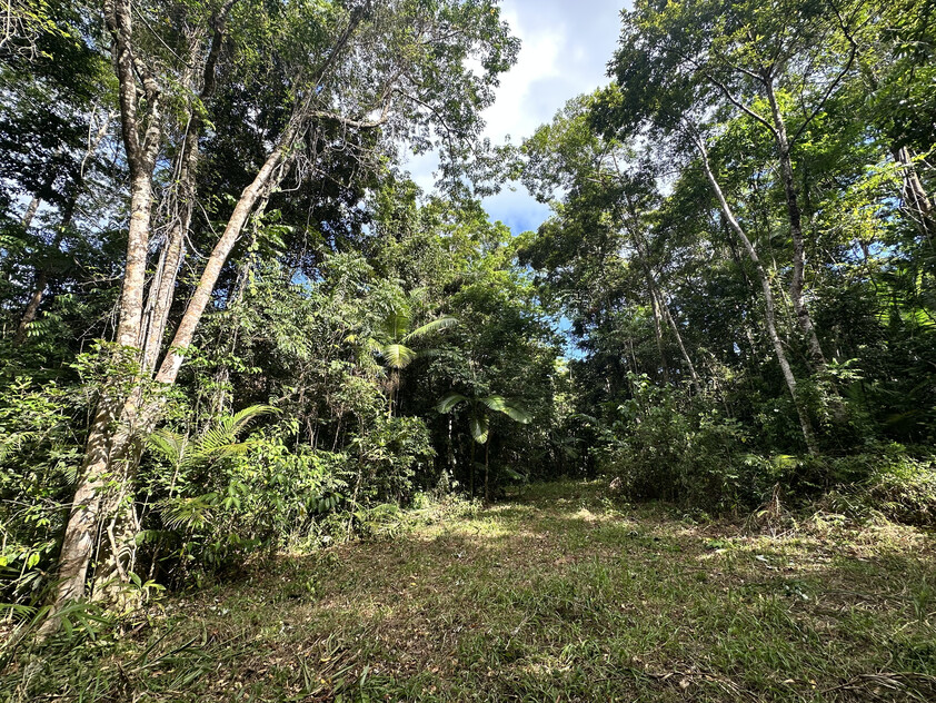 Rare Elevated 1.48ha Rainforest Acreage Privacy, Access & Location