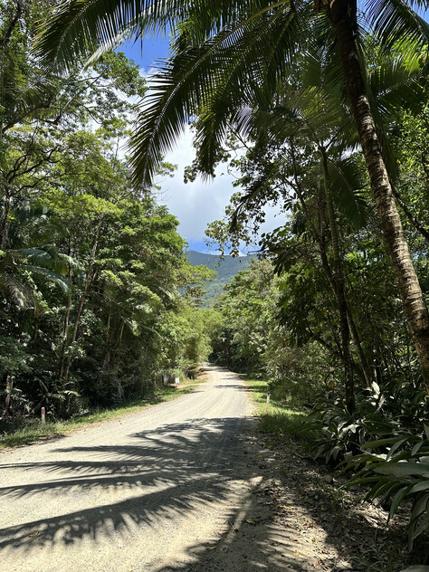 Rare Elevated 1.48ha Rainforest Acreage Privacy, Access & Location